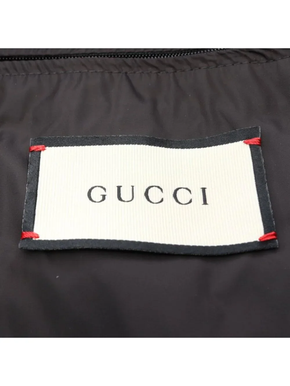 Gucci Mountain Hoodie Psychedelic Panthere Nylon